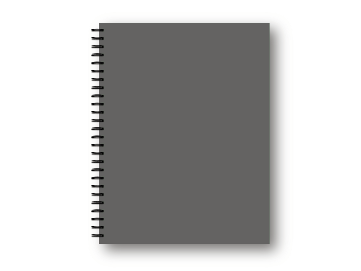 Gray Cover Mental Health Journal