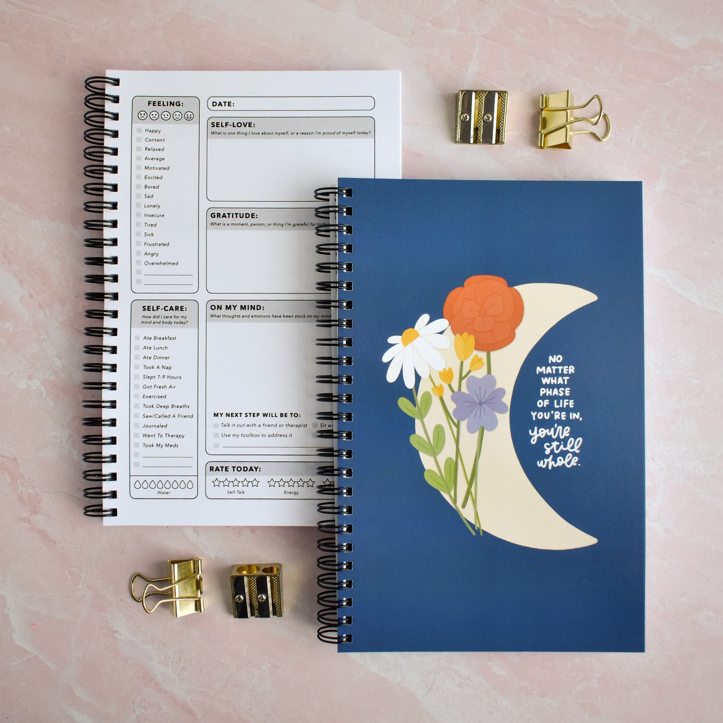 Phase of Life Mental Health Journal