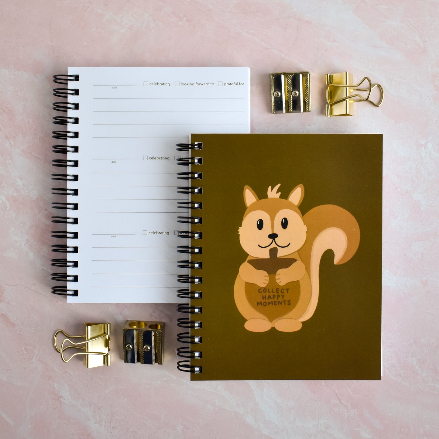 Collect Happy Moments Squirrel Gratitude Journal