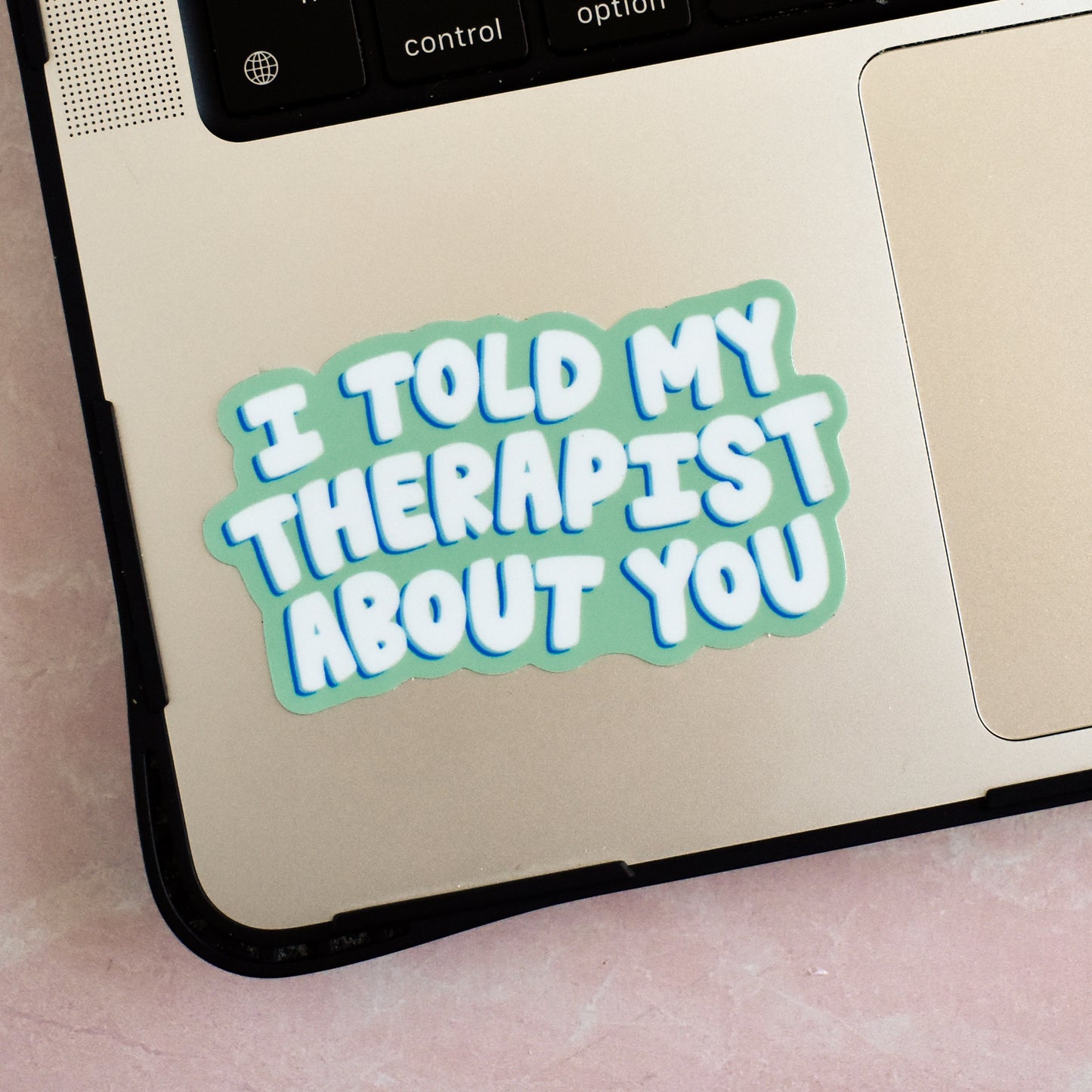 I Told My Therapist About You Sticker