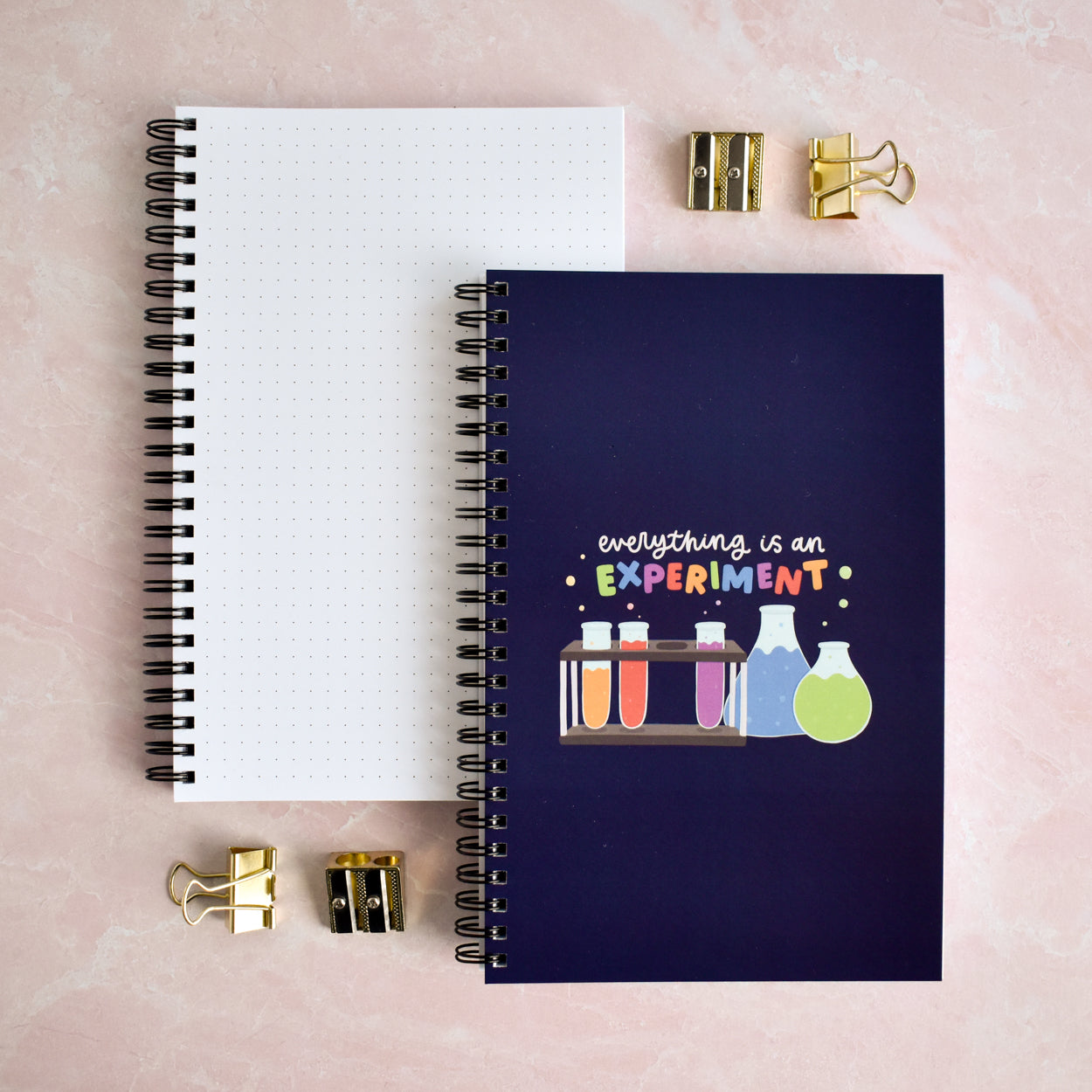 Everything Is An Experiment Notebook