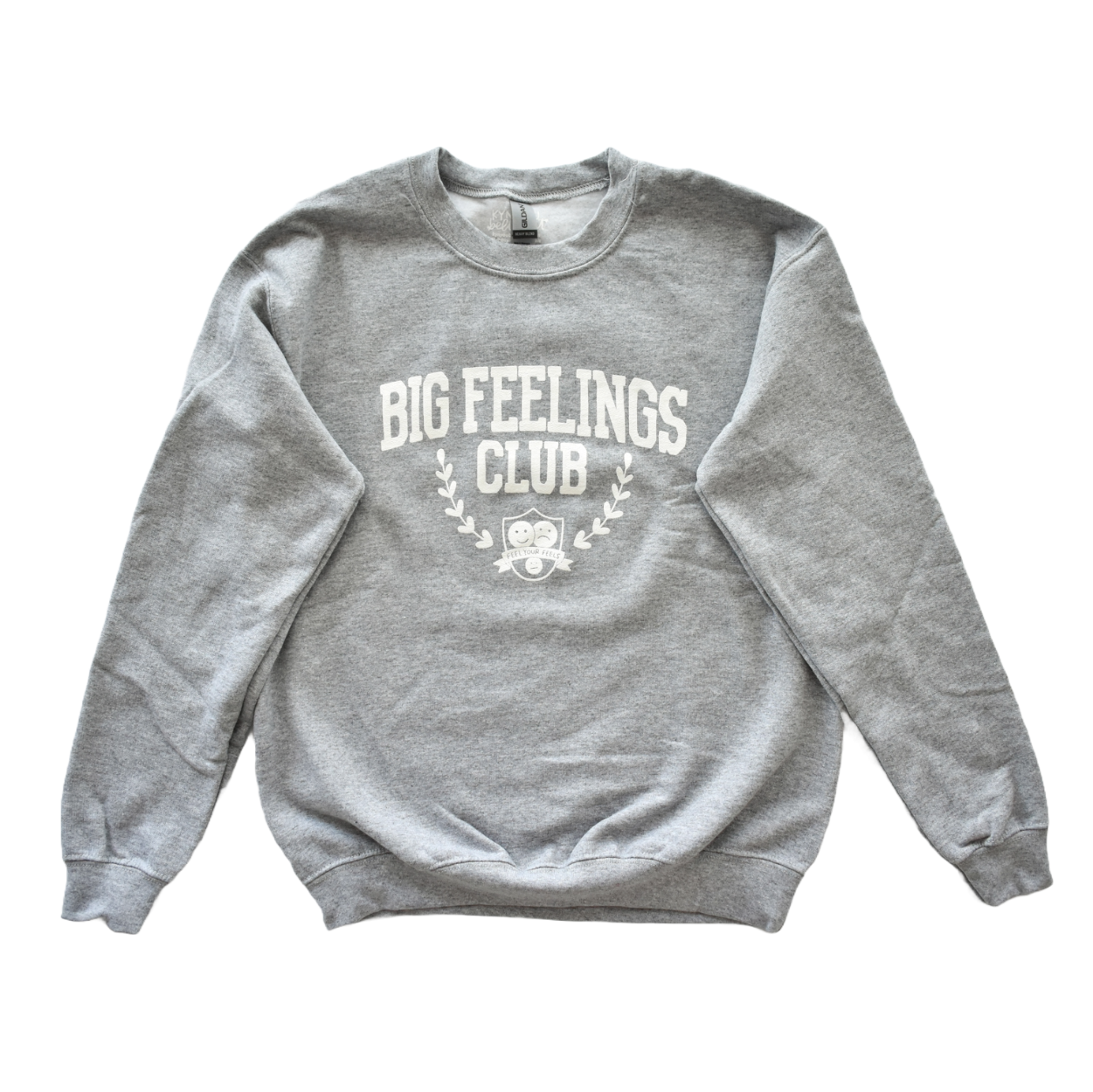 Big Feelings Club Sweatshirt (Gray)