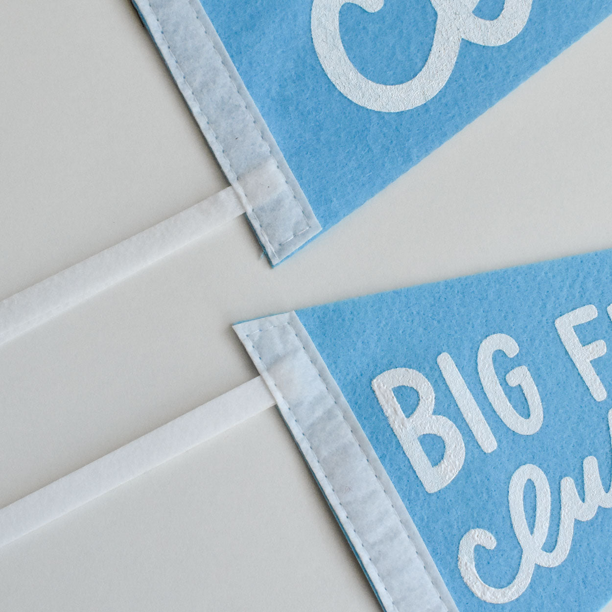 Big Feelings Club Pennant Flag