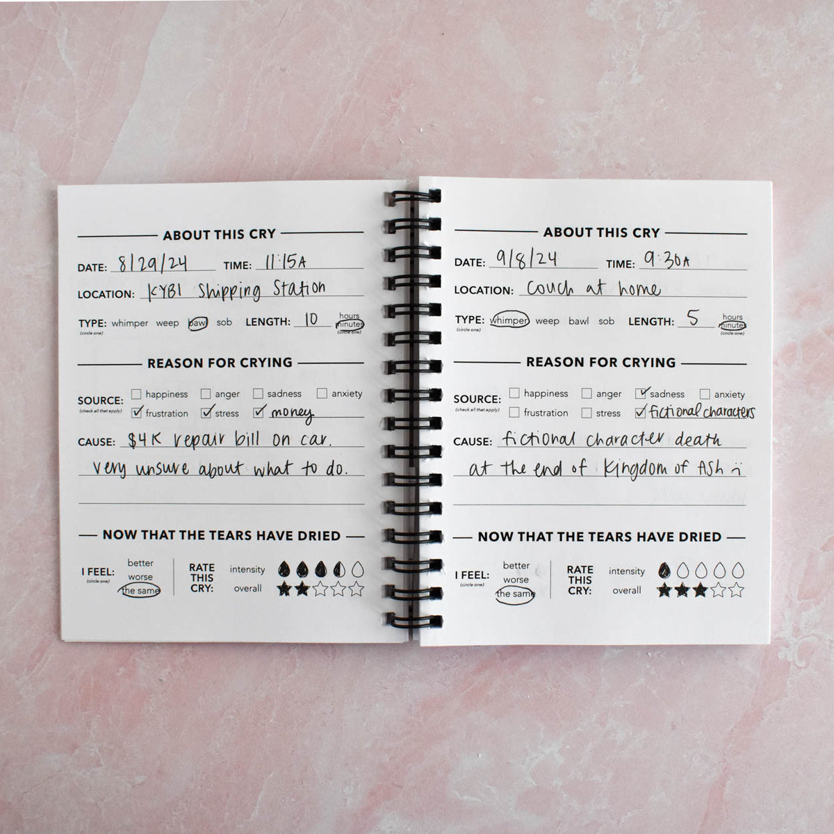 Journal Crying Cry A Lot / Productive Crying Log | Crying Wrapped Journal – Kyn You ...