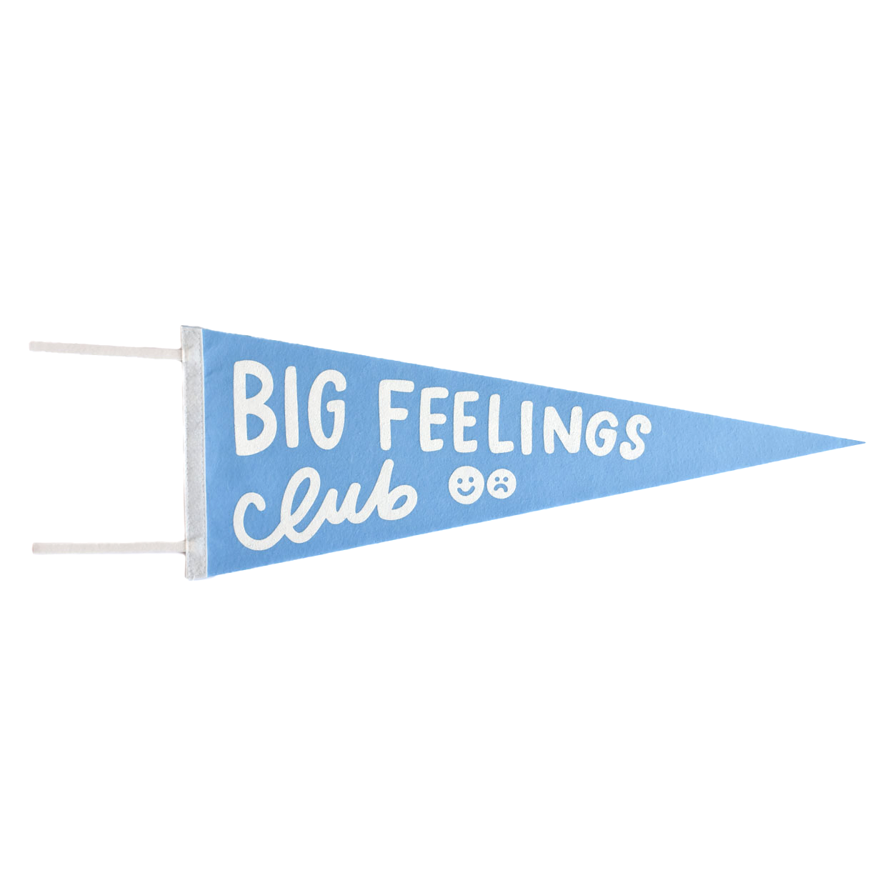 Big Feelings Club Pennant Flag