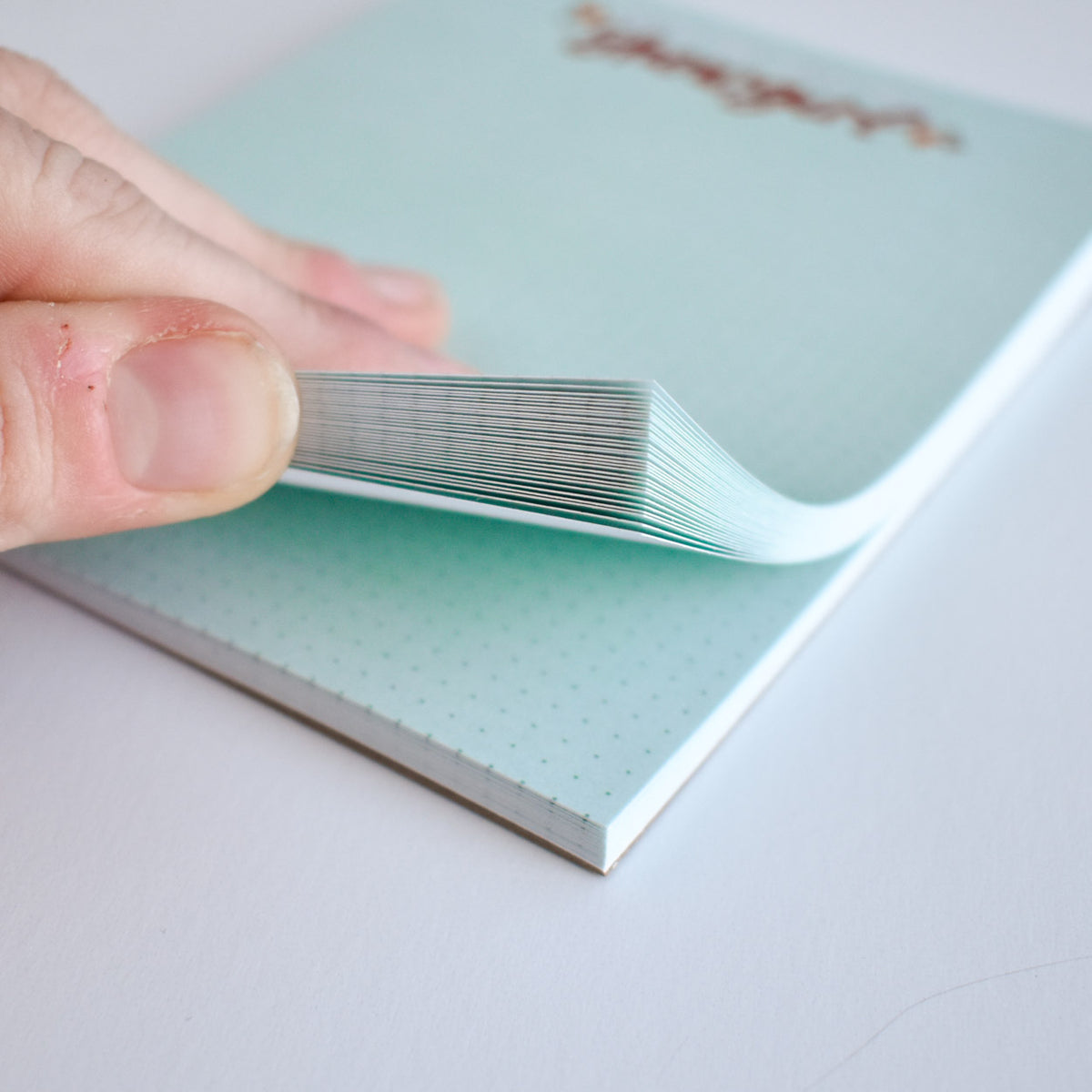 From the Desk of a Showgirl Notepad | Pop Culture Stationery – Kyn You ...
